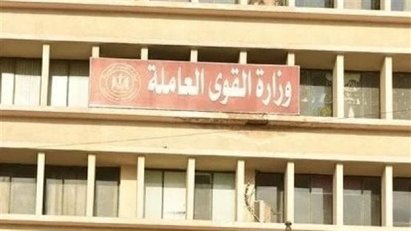برواتب تبدأ من 2700 جنيه.. القوى العاملة: توفير 1845 فرصة عمل في 12 محافظة