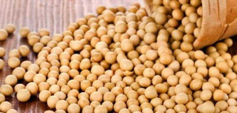 أسعار بذرة الصويا العالمية تعمق خسائرها بختام تعاملات السوق الأمريكي