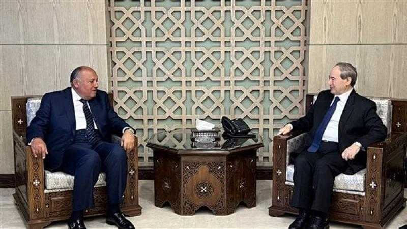 وصول وزير الخارجية السوري إلى مصر في أول زيارة منذ سنوات