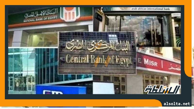 مصرفي: قطاع البنوك المصري قادر على الوفاء بالتزاماته