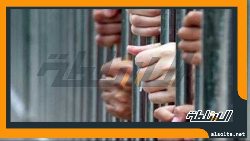 حبس شخص تخصص في السرقات المتنوعة بالقاهرة