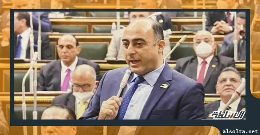 النائب محمد جبريل عضو مجلس النواب