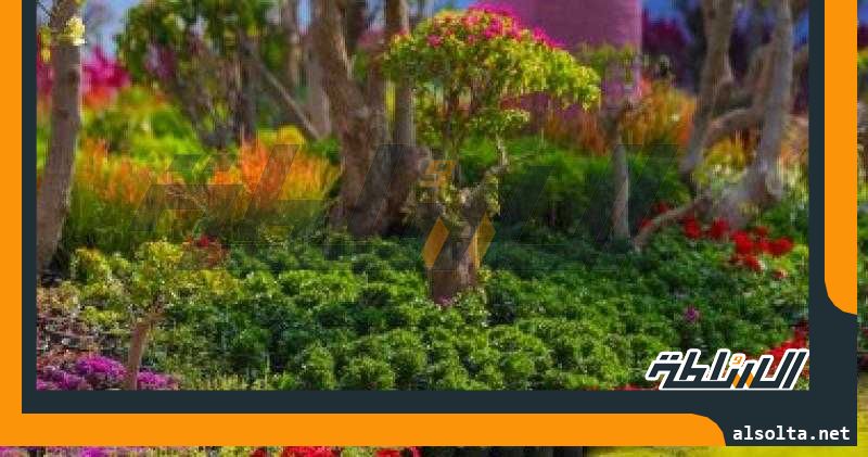 رئيس قطاع الإرشاد الزراعى يتفقد معرض زهور الربيع للاطمئنان على جاهزيته للافتتاح