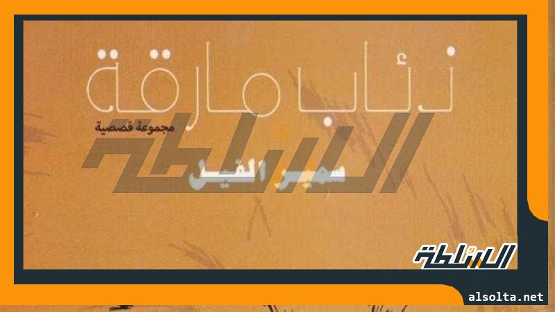 ”ذئاب مارقة”.. مجموعة قصصية جديدة لسمير الفيل عن قصور الثقافة