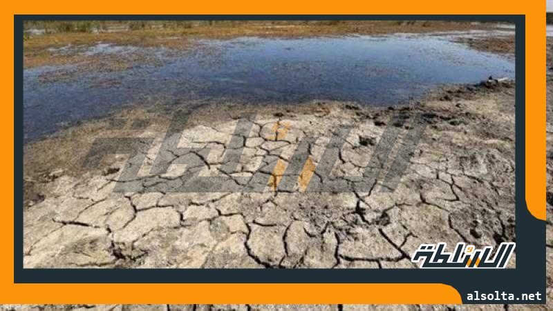 ماذا فعل المغرب لمواجهة أزمة الجفاف؟.. خبير مياه يوضح