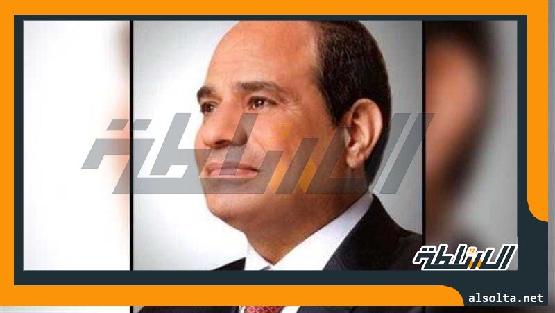 الرئيس السيسي: الشركات المصرية لديها خبرات وقدرات بمقاييس عالمية