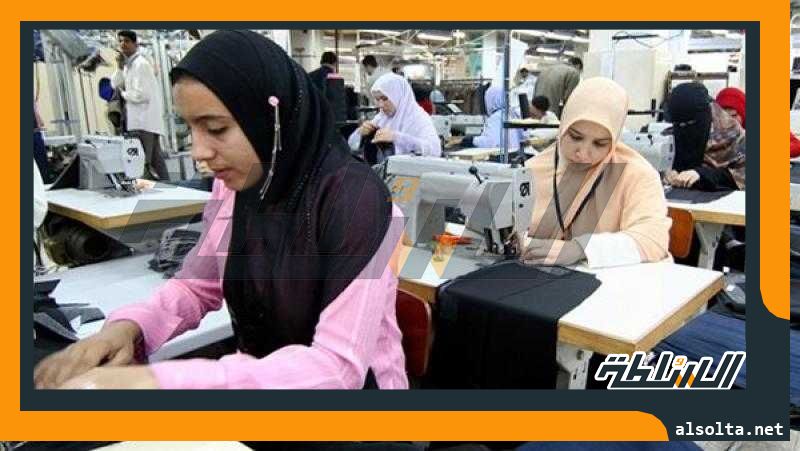 أستاذ اقتصاد: المدارس التكنولوجية تجربة رائدة في مصر