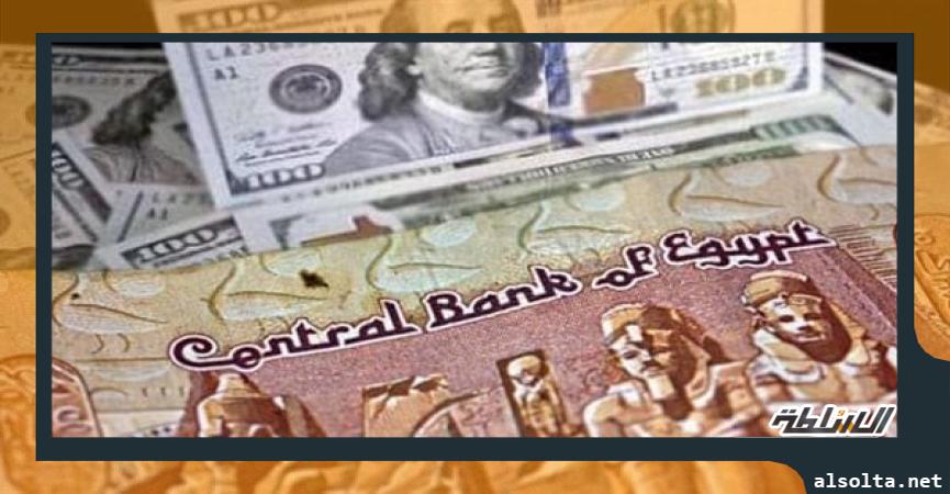 سعر الدولار 