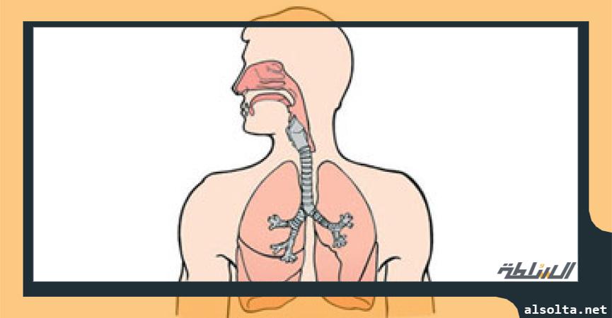 الجهاز التنفسي