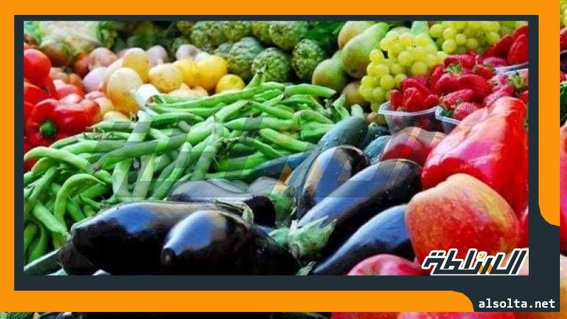 الطماطم بـ 2.25 جنيه.. أسعار الخضروات والفاكهة اليوم الثلاثاء 27 يونيو 2023