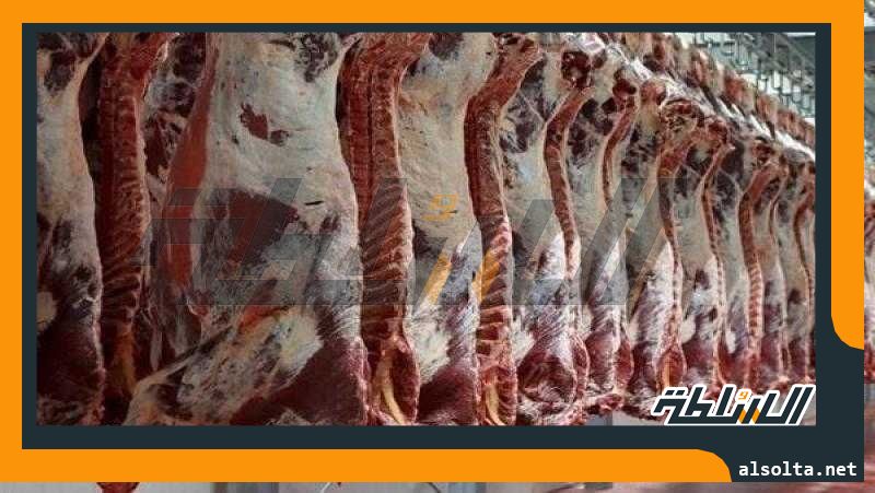 اللحوم بـ 195 .. مواعيد عمل المجمعات الاستهلاكية خلال عيد الاضحى 2023