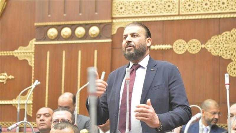 برلماني: قرار العفو عن بعض المحبوسين أثلج قلوب الأسر المصرية