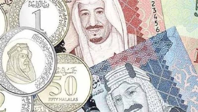 أسعار الريال السعودى رسميا في مصر اليوم الإثنين