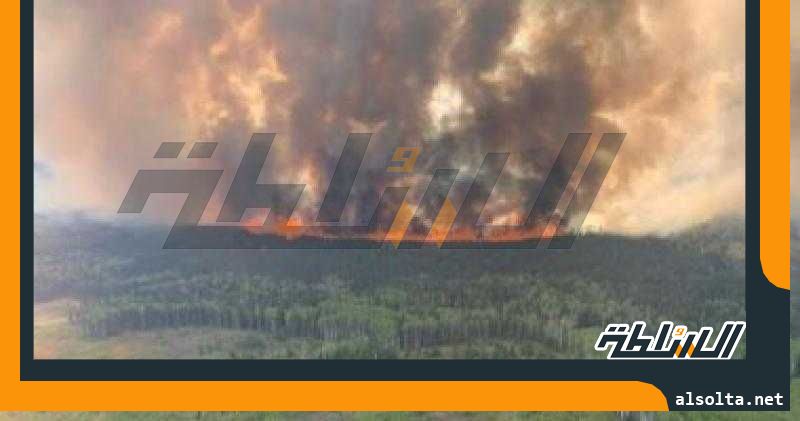 النيران تلتهم 8.4 مليون هكتار من الغابات في كندا