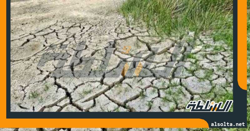 ارتفاع أسعار الغذاء فى إسبانيا بنسبة 10% بسبب الجفاف