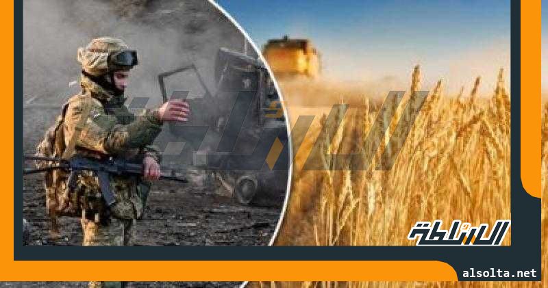 صحيفة: ارتفاع أسعار الغلال بعد الانسحاب الروسى من اتفاقية الحبوب
