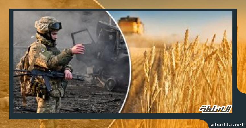 الحرب الروسية الاوكرانية والقمح 