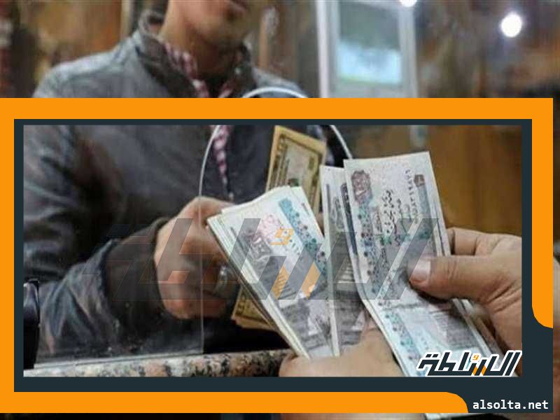 تحويلات المصريين بالخارج تسجل 17.5 مليار دولار في 9 أشهر