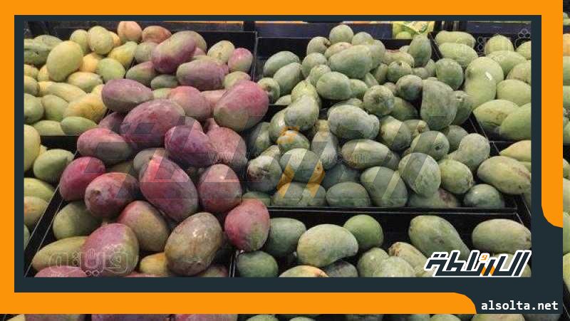 أسعار الفاكهة اليوم، المانجو البلدي تسجل 15 جنيهًا في سوق العبور
