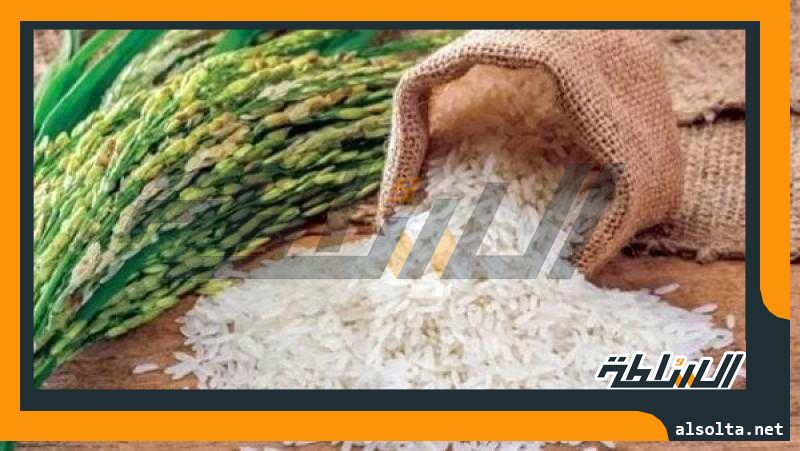 أسعار الأرز السائب والمعبأ اليوم الأحد 6-8-2023