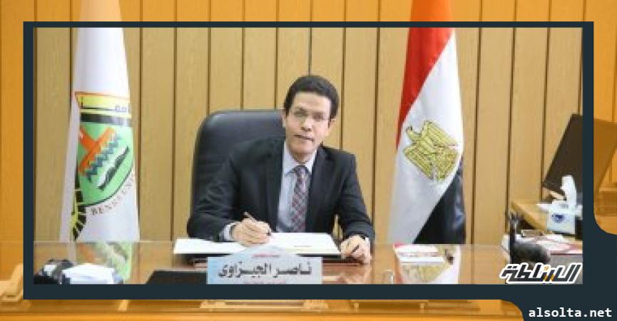 الدكتور ناصر الجيزاوى القائم بعمل رئيس جامعة بنها