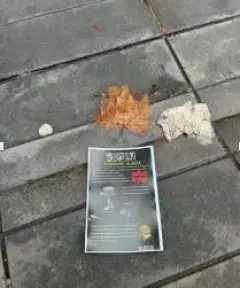 تزايد نفوذ تنظيم فرسان العزة التابع لـ داعش في فرنسا: أنشطة تجنيد وتمويل سري