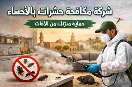 مكافحة الحشرات بالأحساء: دليل شامل لحماية منزلك من الآفات