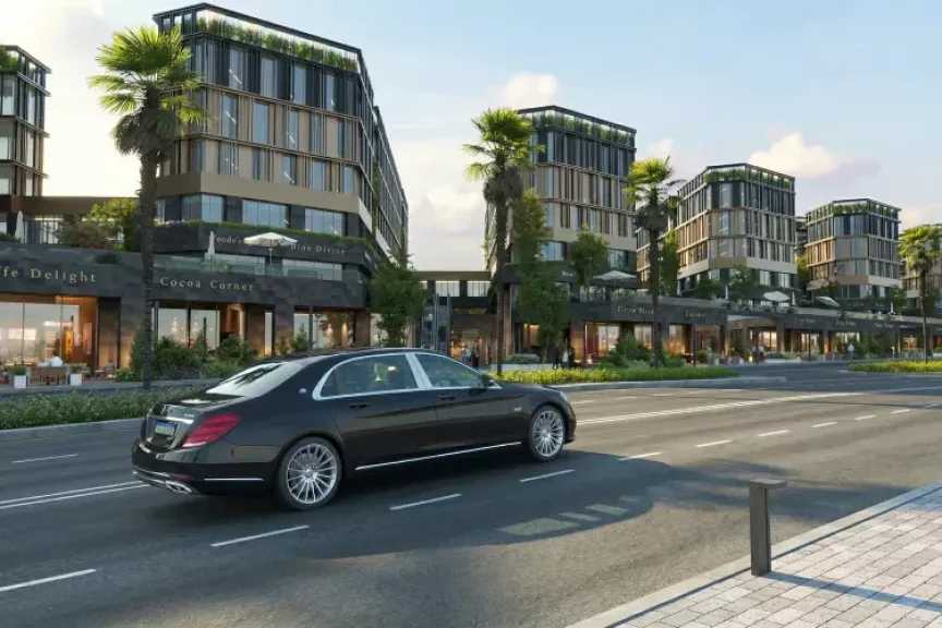 مول VX: استثمار يبدأ اليوم ويزدهر غدًا